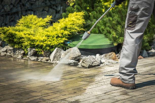 Best Fence Cleaning and Maintenance in Arapahoe, WY